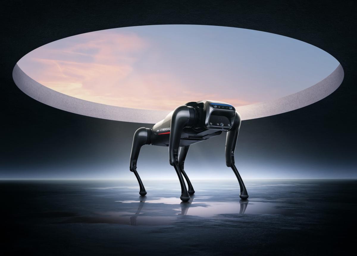 vocket-tech-news-dog-2